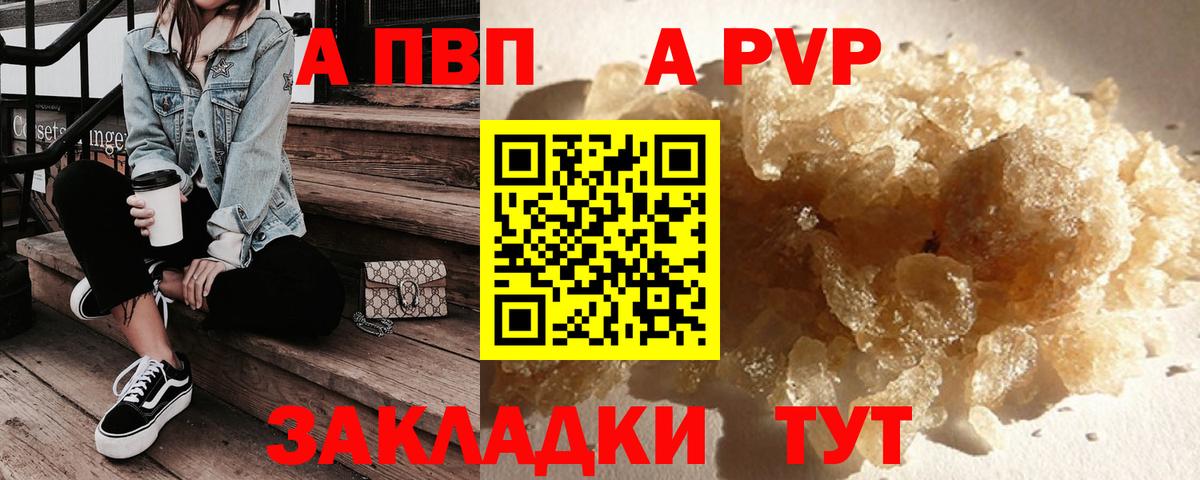 A PVP СК КРИС Тара
