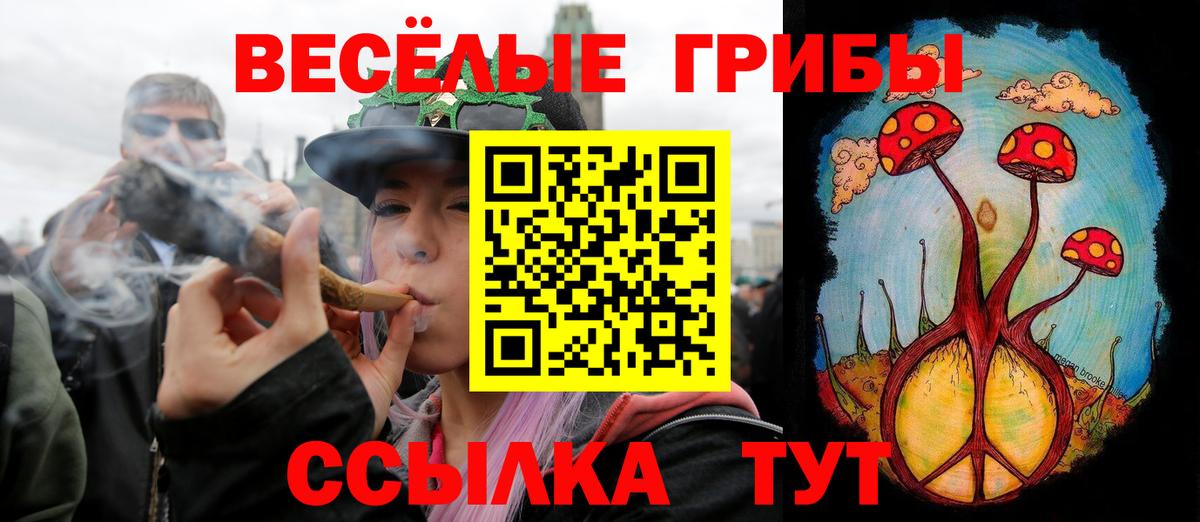 Галлюциногенные грибы GOLDEN TEACHER Тара
