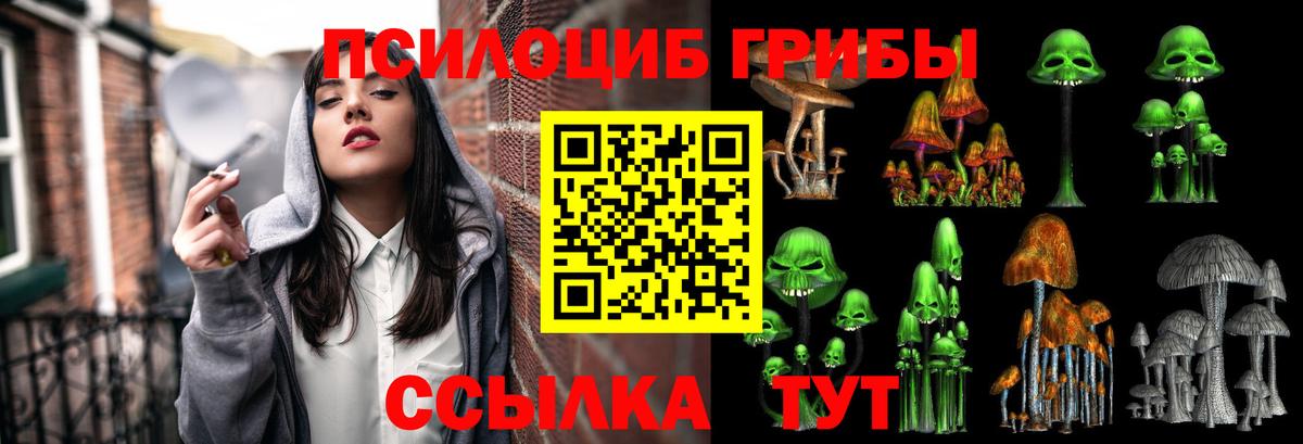 Псилоцибиновые грибы MAGIC MUSHROOMS  Вход с VPN  Тара 